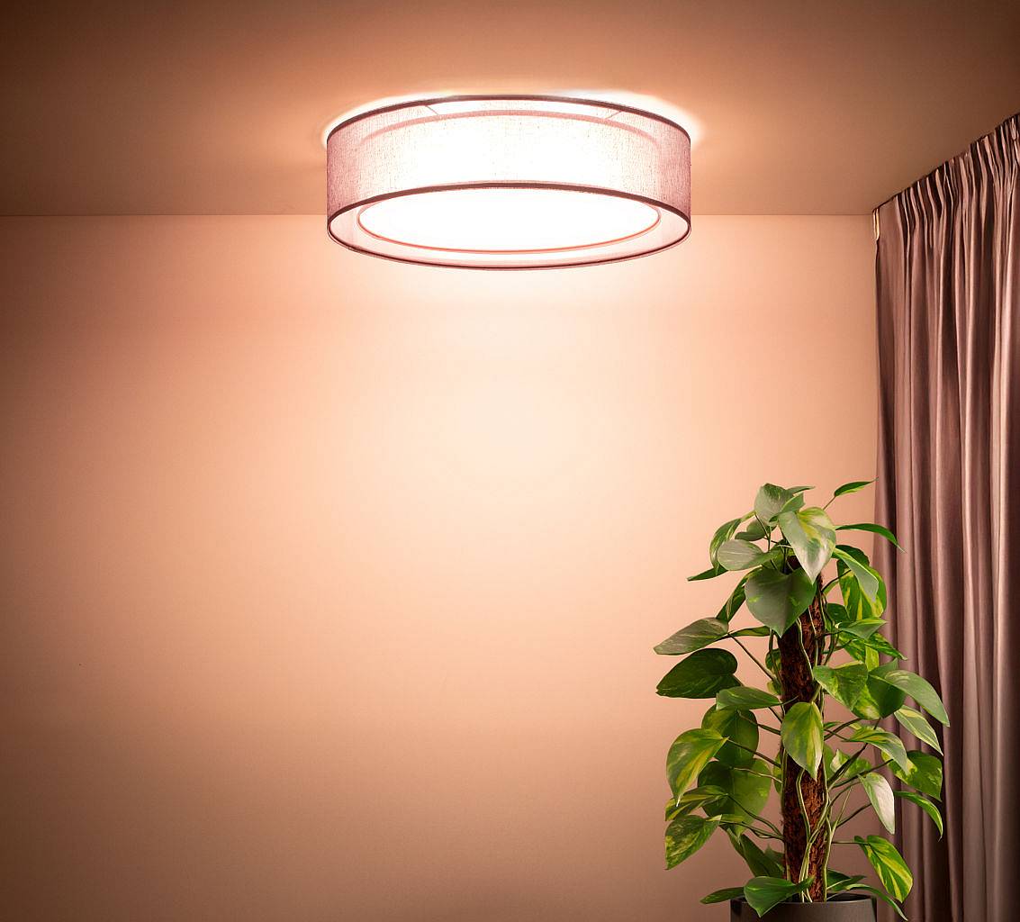 Puro plafondlamp