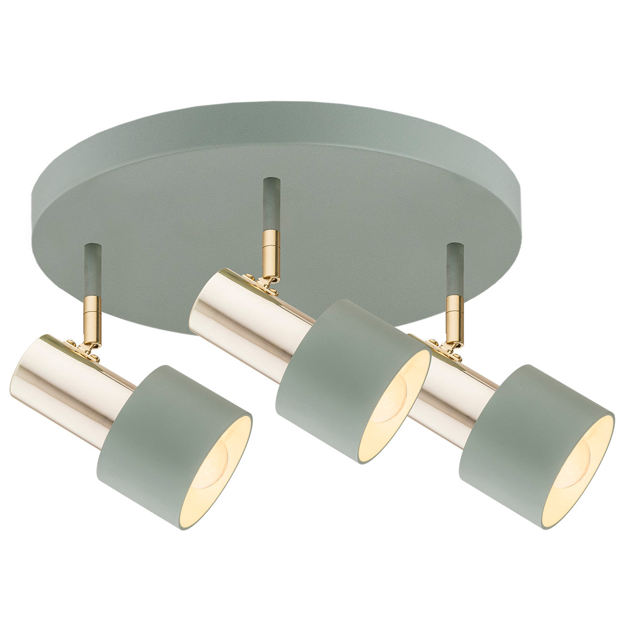Doria plafondlamp Saliegroen met messing