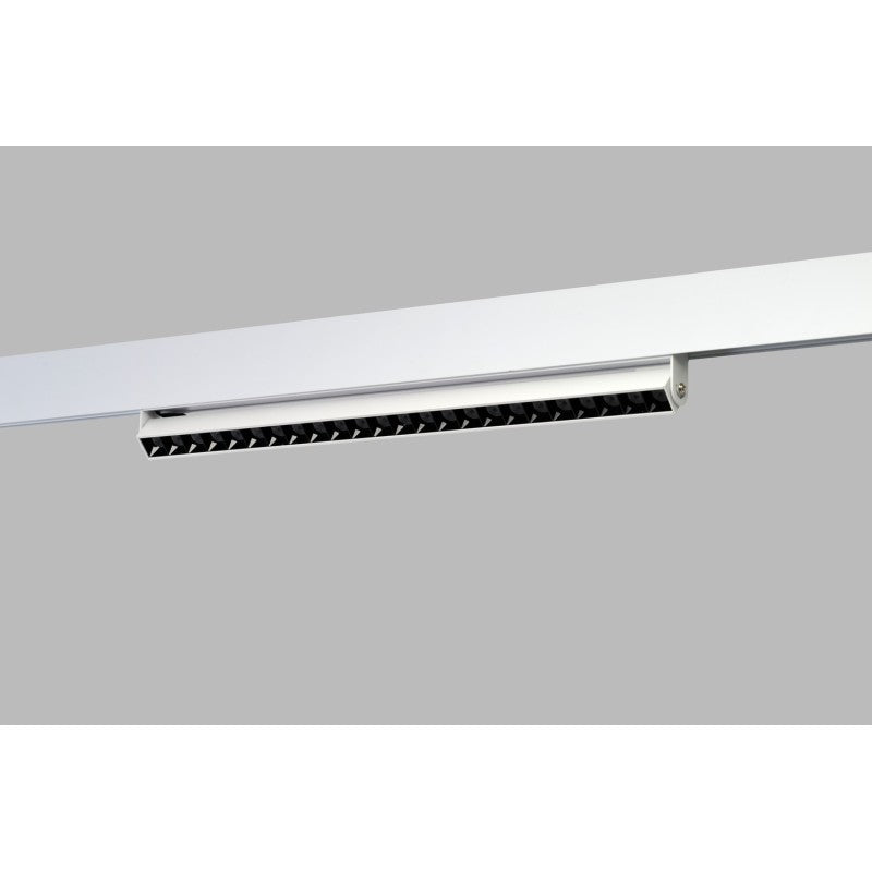 CYRUS 2LINE CCT SWITCH DIMM | Railspot | ALFA Magnetic 48V | 12W, 24W ou 36W | blanc ou noir