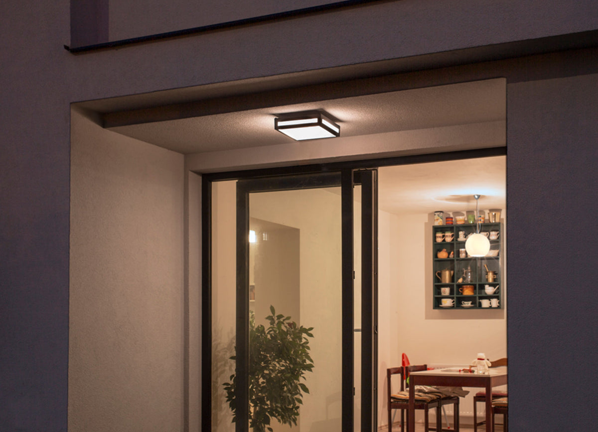 PLAKA | buiten plafond- en wandlamp | 2x E27 | IP54 | zwart | met of zonder lichtbron