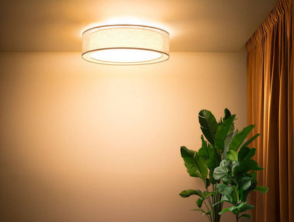 Puro plafondlamp