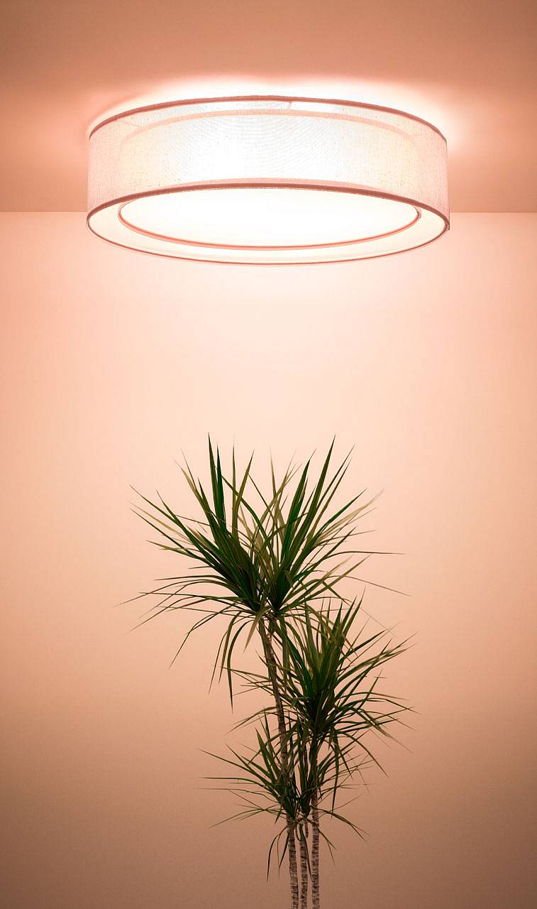 Puro plafondlamp