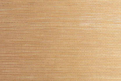 Mesh plafondlamp