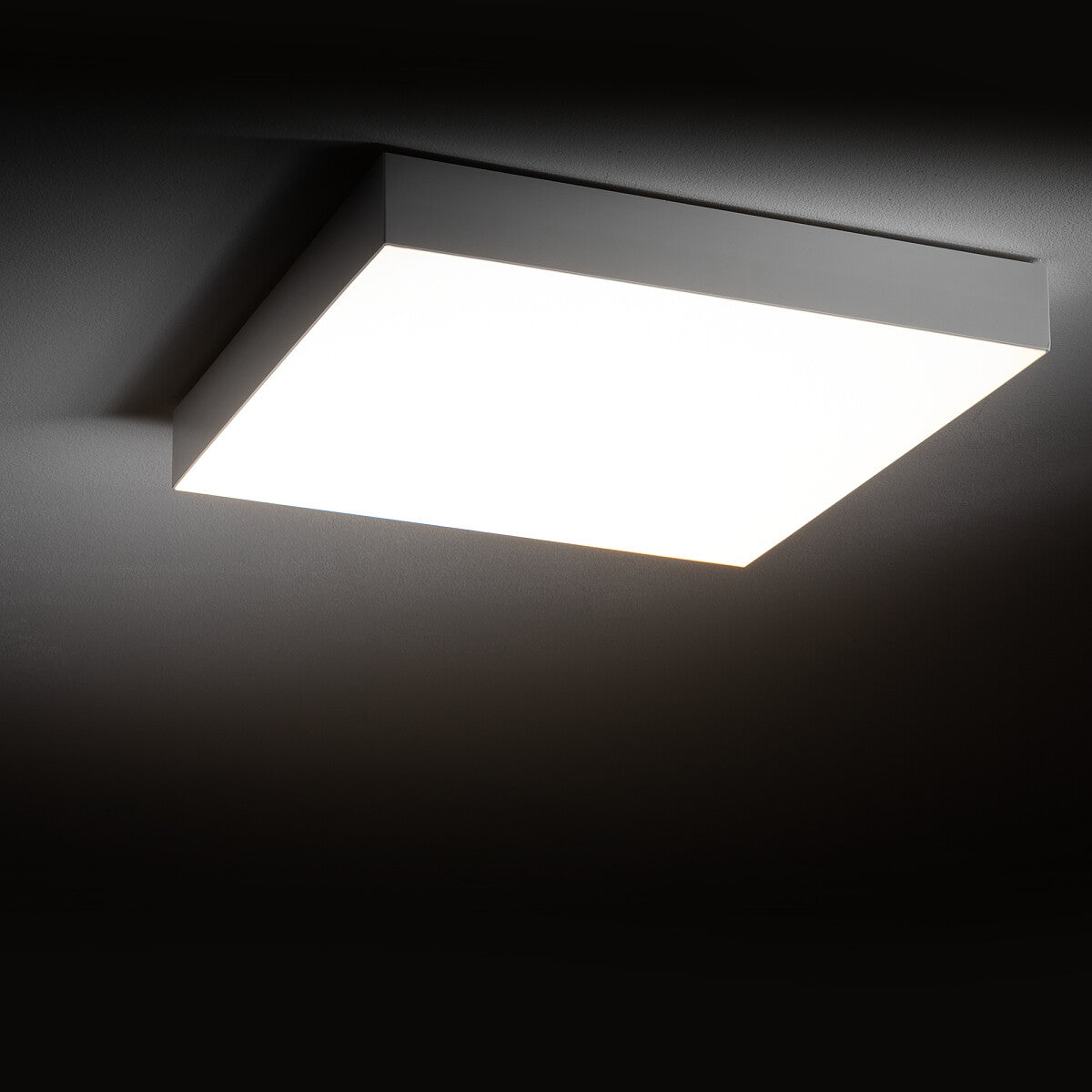 LID SQUARE LED plafondlamp sfeerbeeld