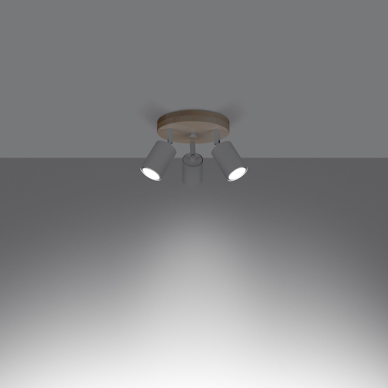 VERDO plafondlamp