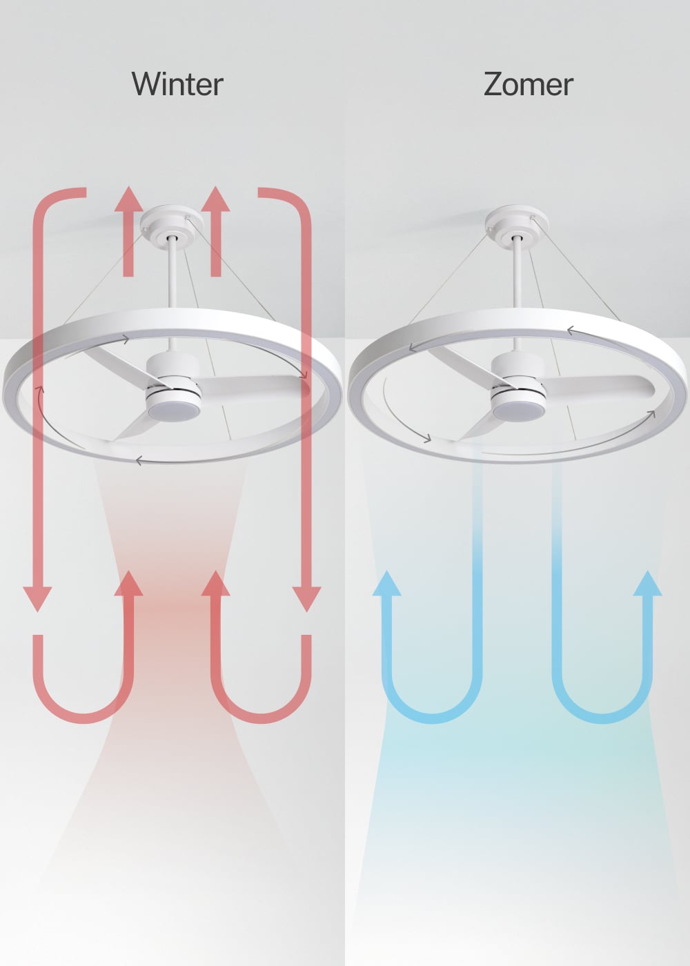 Halovaro | plafondventilator met LED-lichtring | DC 36W | Ø108 cm