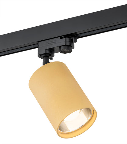 Belgaro railspot goud