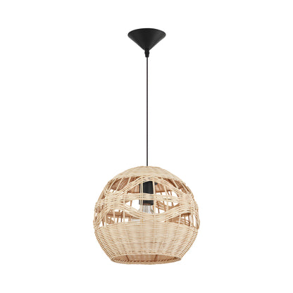 Palma Rotan