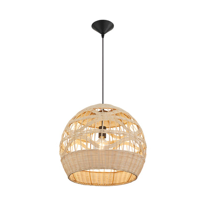 Palma Rotan