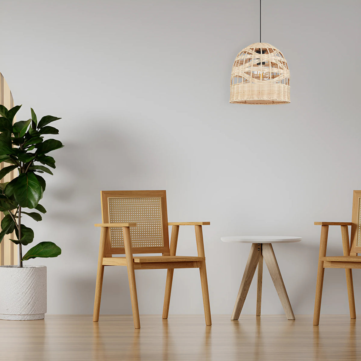 Palma Rotan