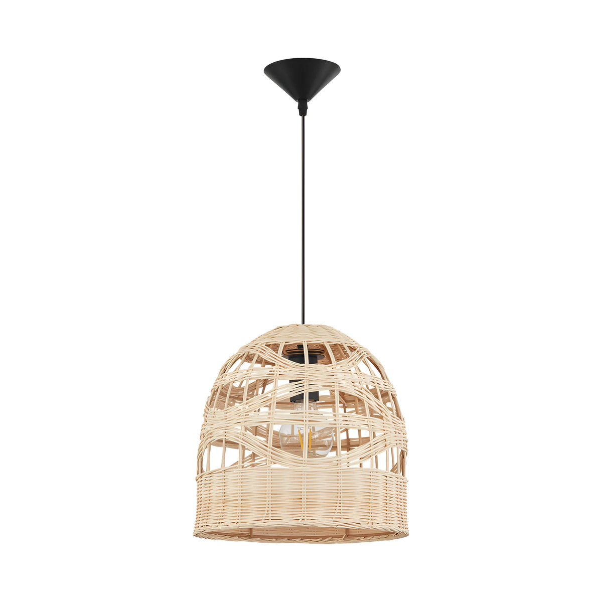 Palma Rotan
