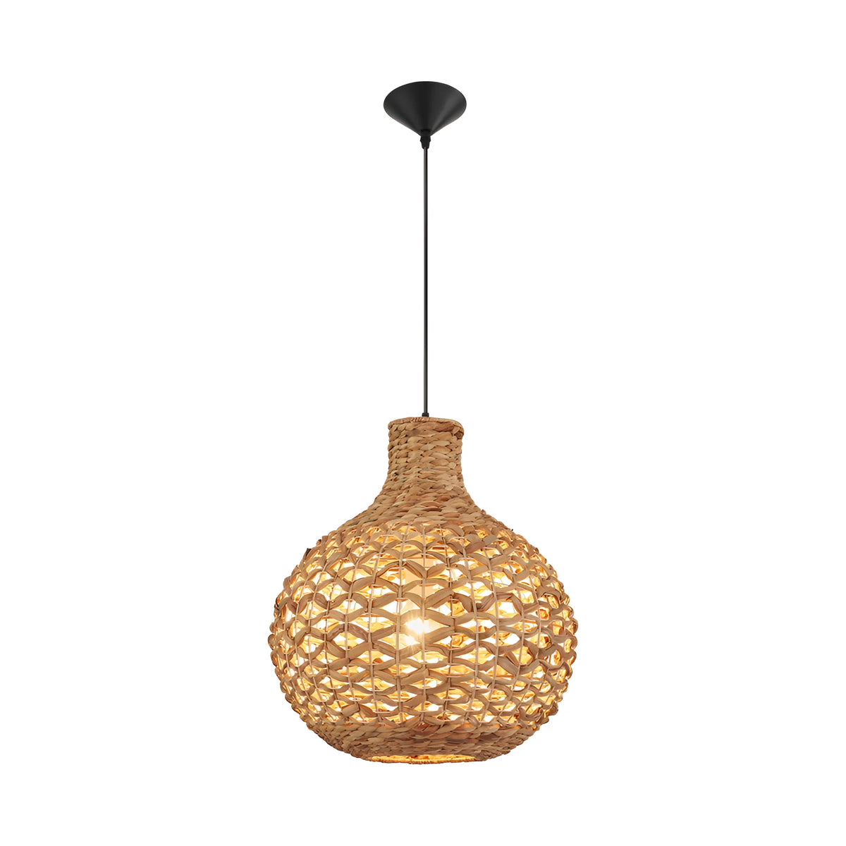 Palma Rotan