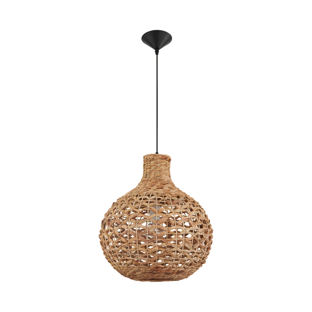 Palma Rotan