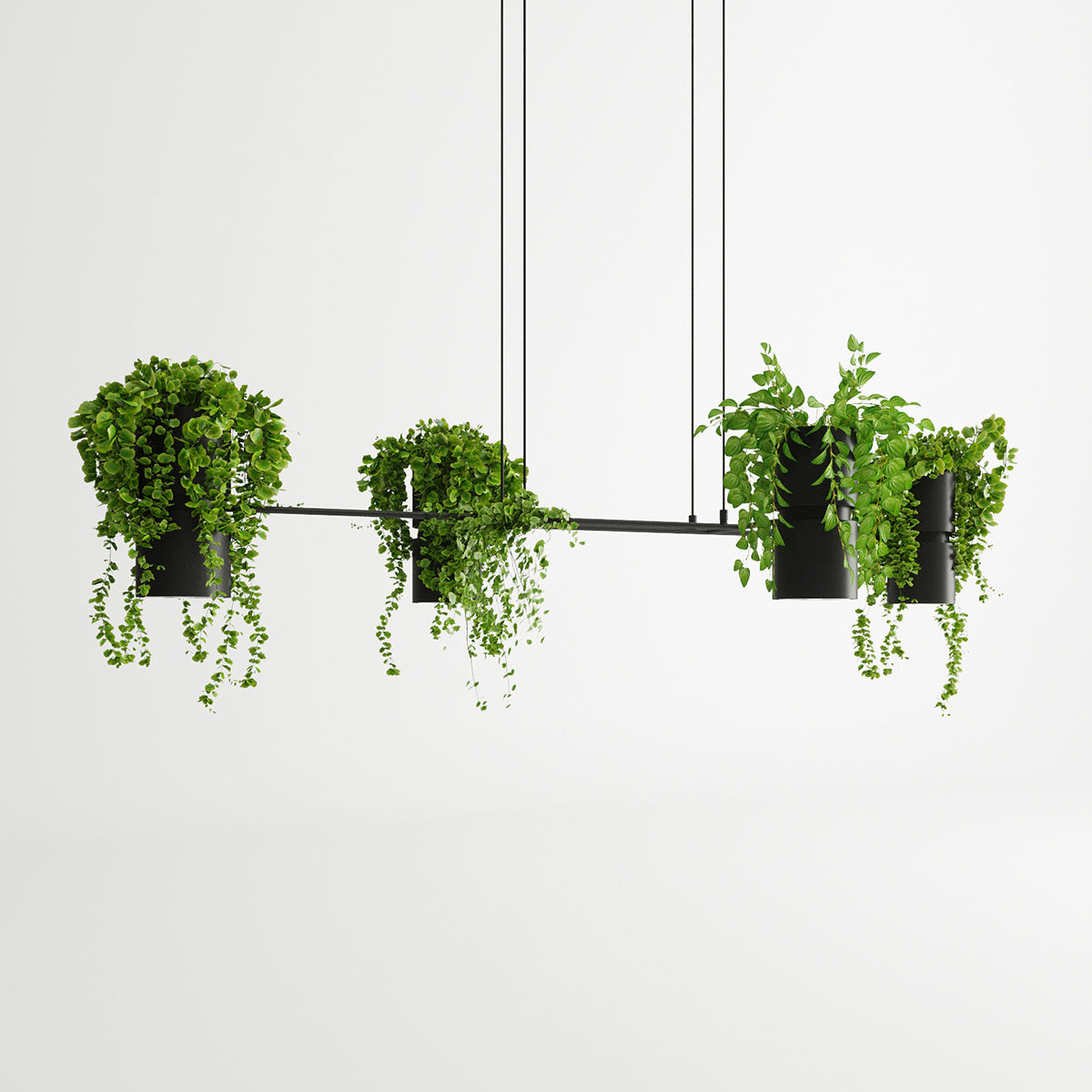 Botanica Line | horizontale Design-Hängeleuchte | schwarzes Metall