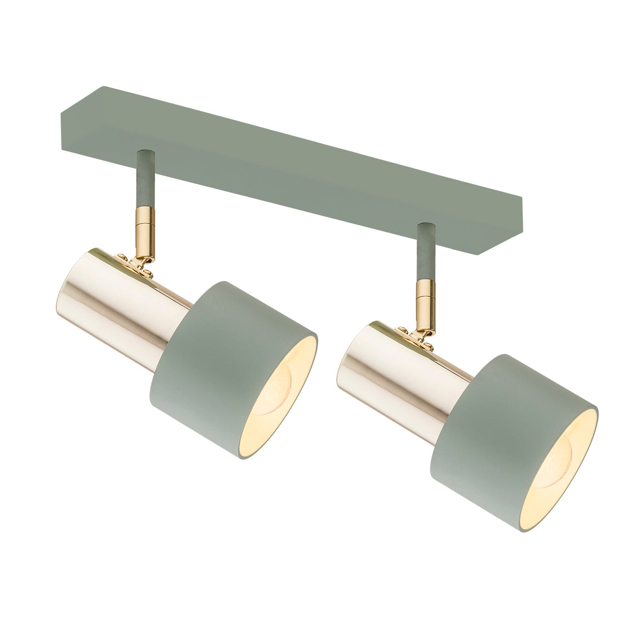 Doria plafondlamp Saliegroen met messing