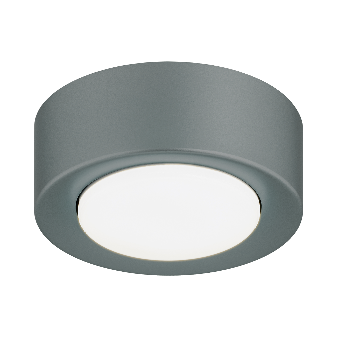 Elora plafondlamp Saliegroen