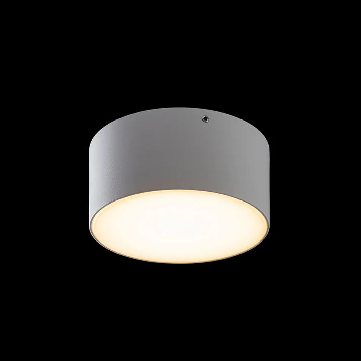 Ello Beam 12 – Outdoor Wall/Ceiling Lamp
