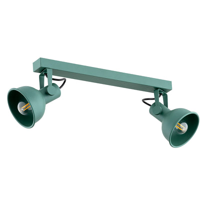 Lenora plafondlamp Groen