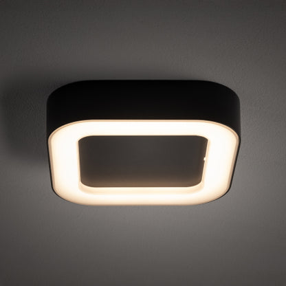 Lumo LED Buitenplafondlamp Grafiet 18W IP54