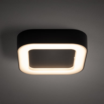 Lumo LED Buitenplafondlamp Grafiet 18W IP54