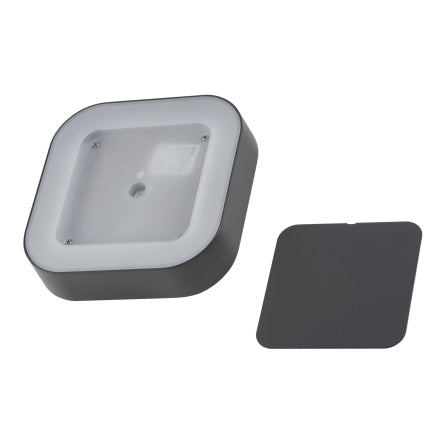 Lumo LED Buitenplafondlamp Grafiet 18W IP54