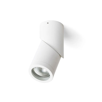 MonoCurve Spot Plafondlamp