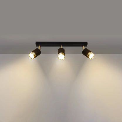 Noir Trio | 3-Light Ceiling Lamp | Matte Black & Gold