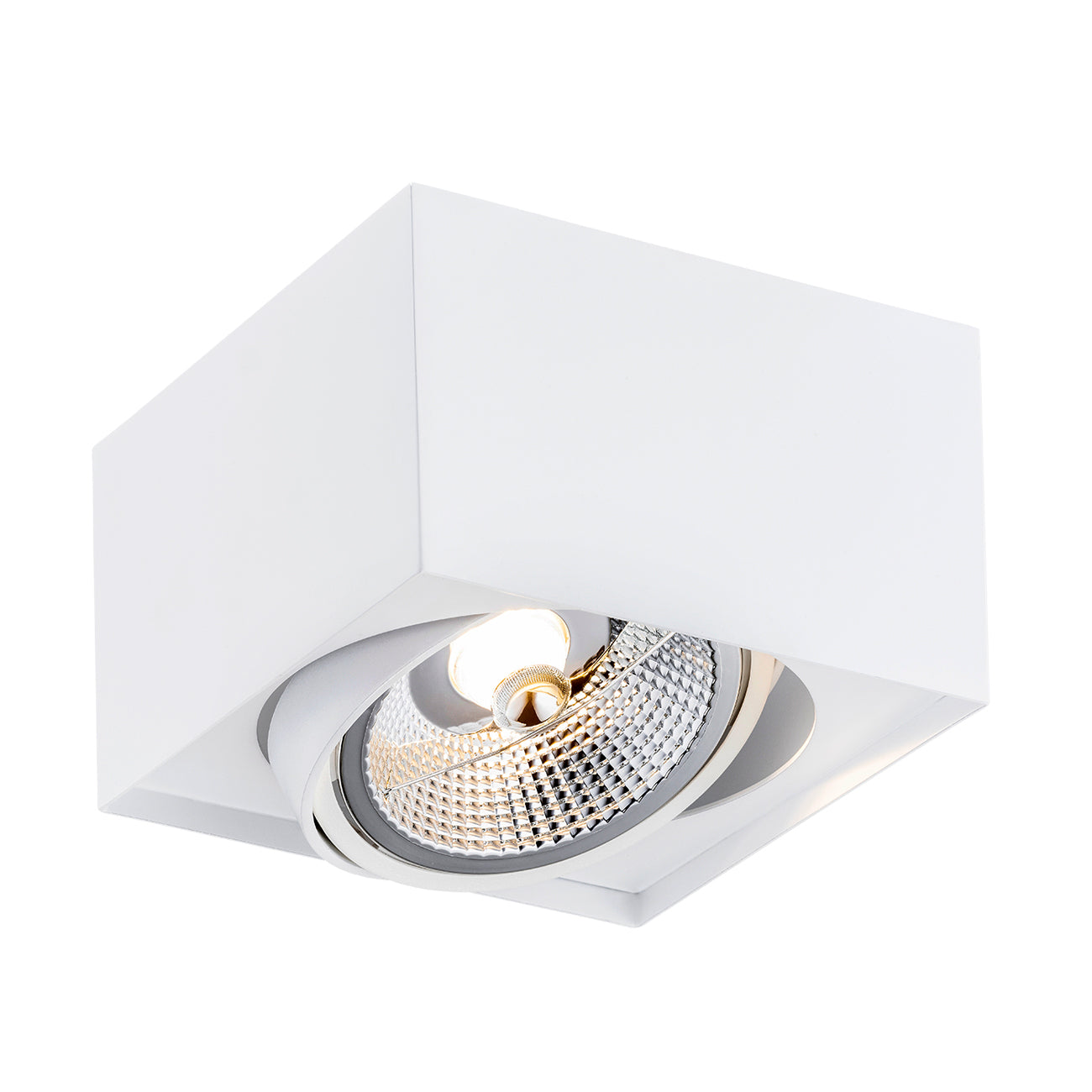 Rodos Plus plafondlamp Wit