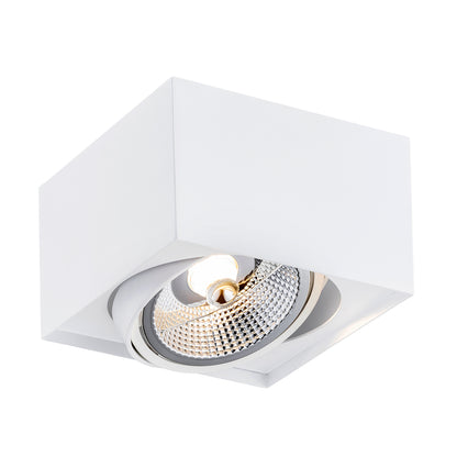 Rodos Plus plafondlamp Wit