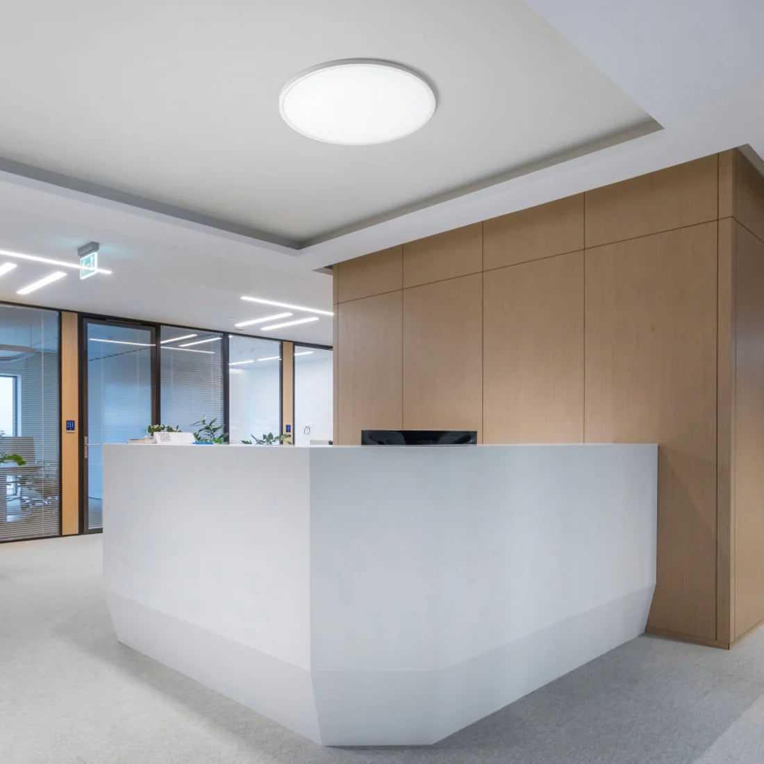 Spectra 60 – Plafondlamp