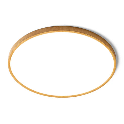 Spectra 60 – Plafondlamp