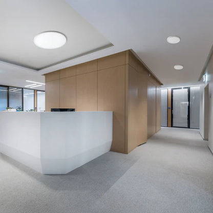 Spectra 60 – Plafondlamp