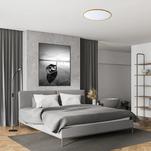 Spectra 60 – Plafondlamp