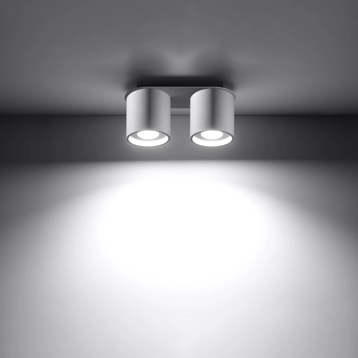 Zyro 2 | 2-spot round ceiling light | white or black