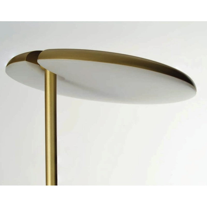 CARPA Goud
