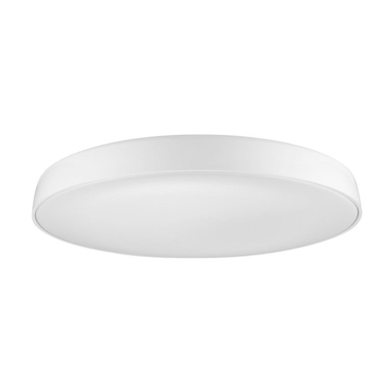 CORTONA 41 wit