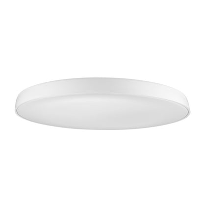 CORTONA 55 wit