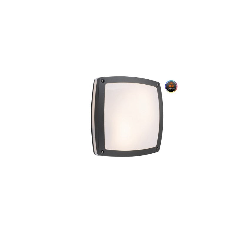 Azzardo FANO plafondlamp