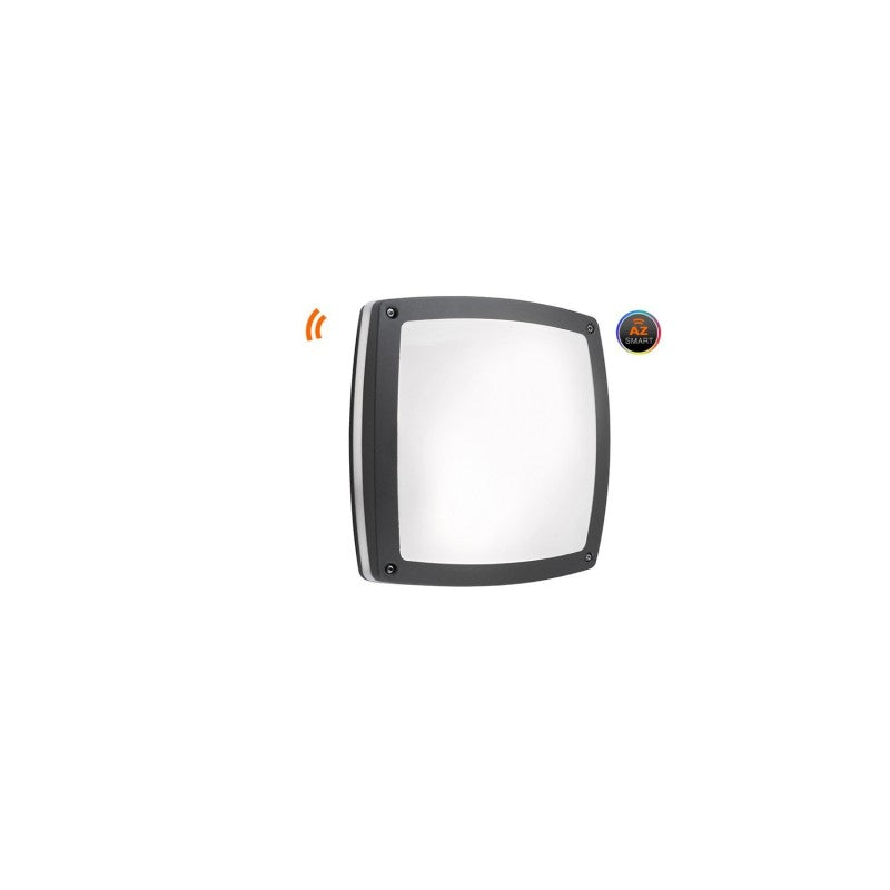 Azzardo FANO plafondlamp