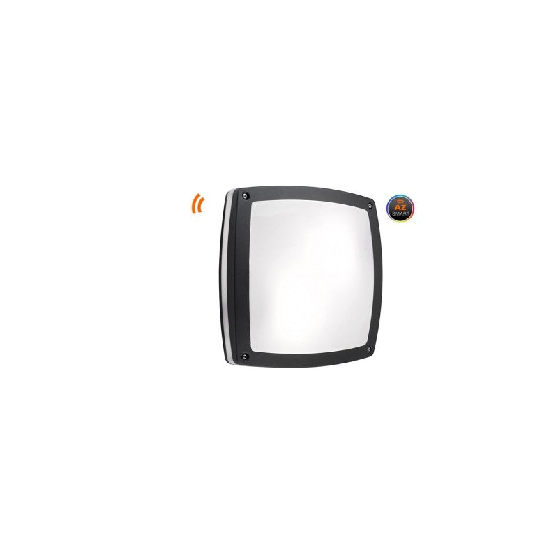 Azzardo FANO plafondlamp