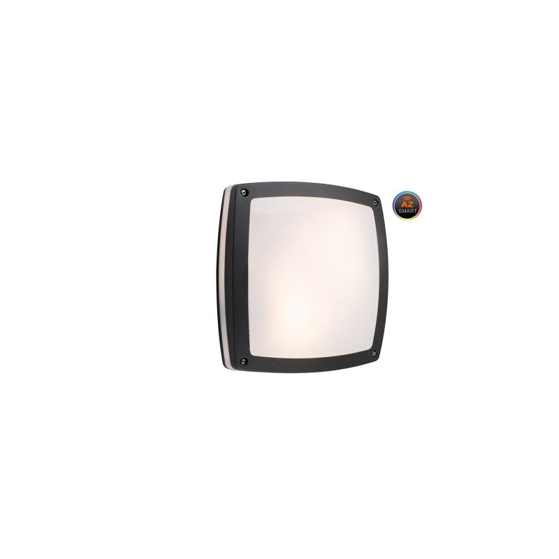 Azzardo FANO plafondlamp