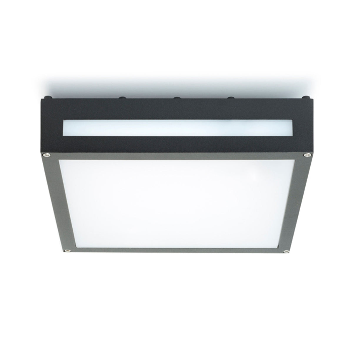 PLAKA | buiten plafond- en wandlamp | 2x E27 | IP54 | zwart | met of zonder lichtbron