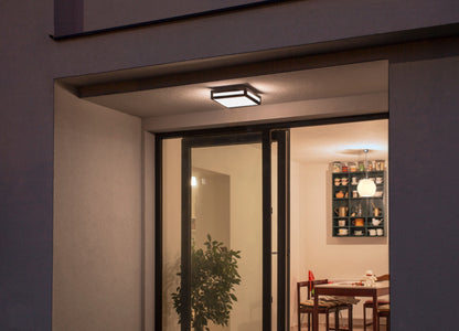 PLAKA | buiten plafond- en wandlamp | 2x E27 | IP54 | zwart | met of zonder lichtbron