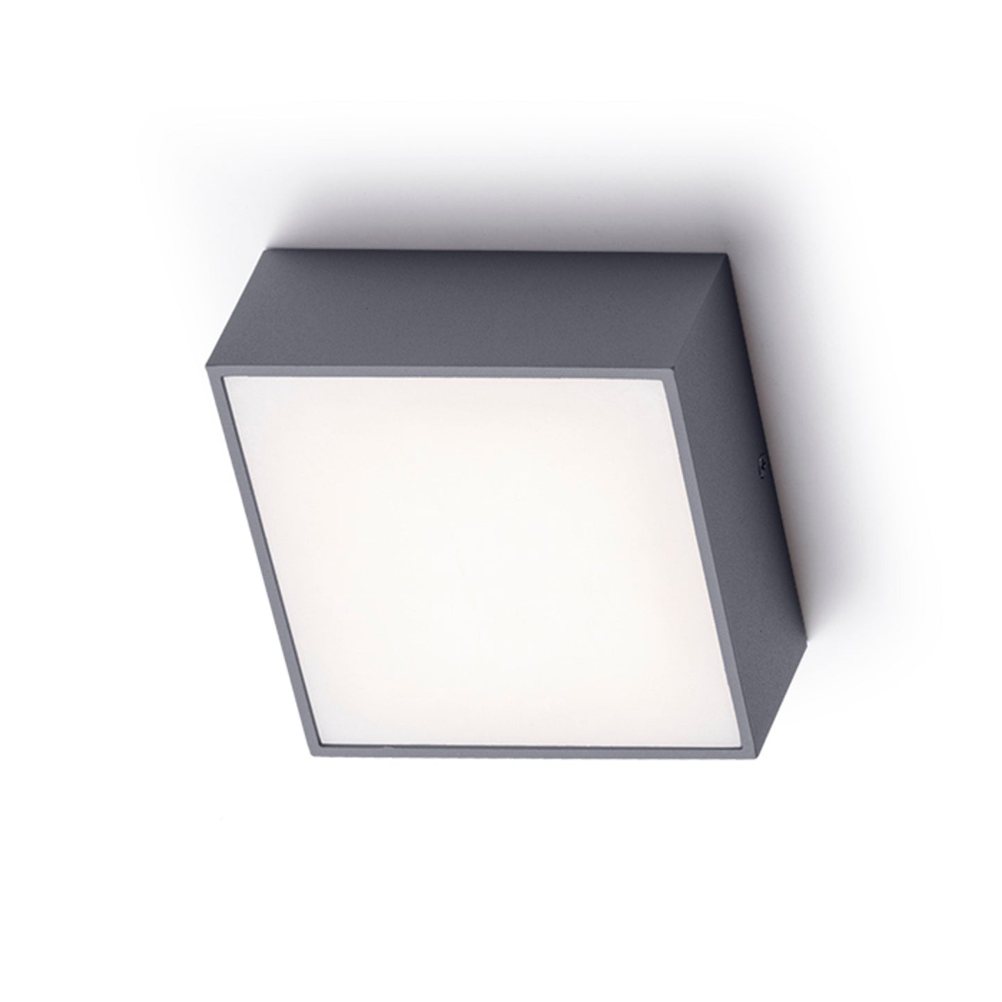 BONO buiten wand-/plafondlamp antracietgrijs LED 4W