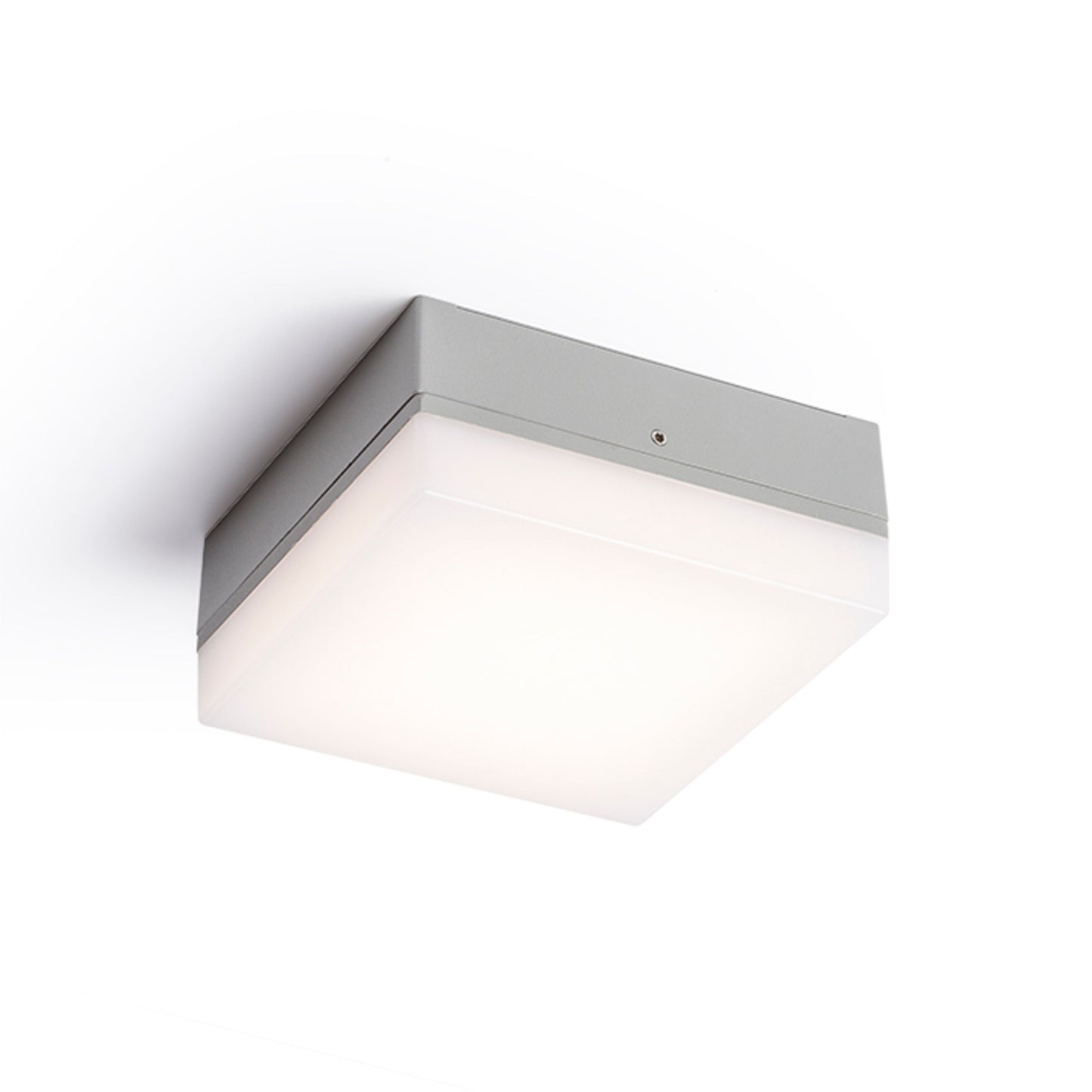 SPECTACLE buiten wand-/plafondlamp zilvergrijs LED 5W