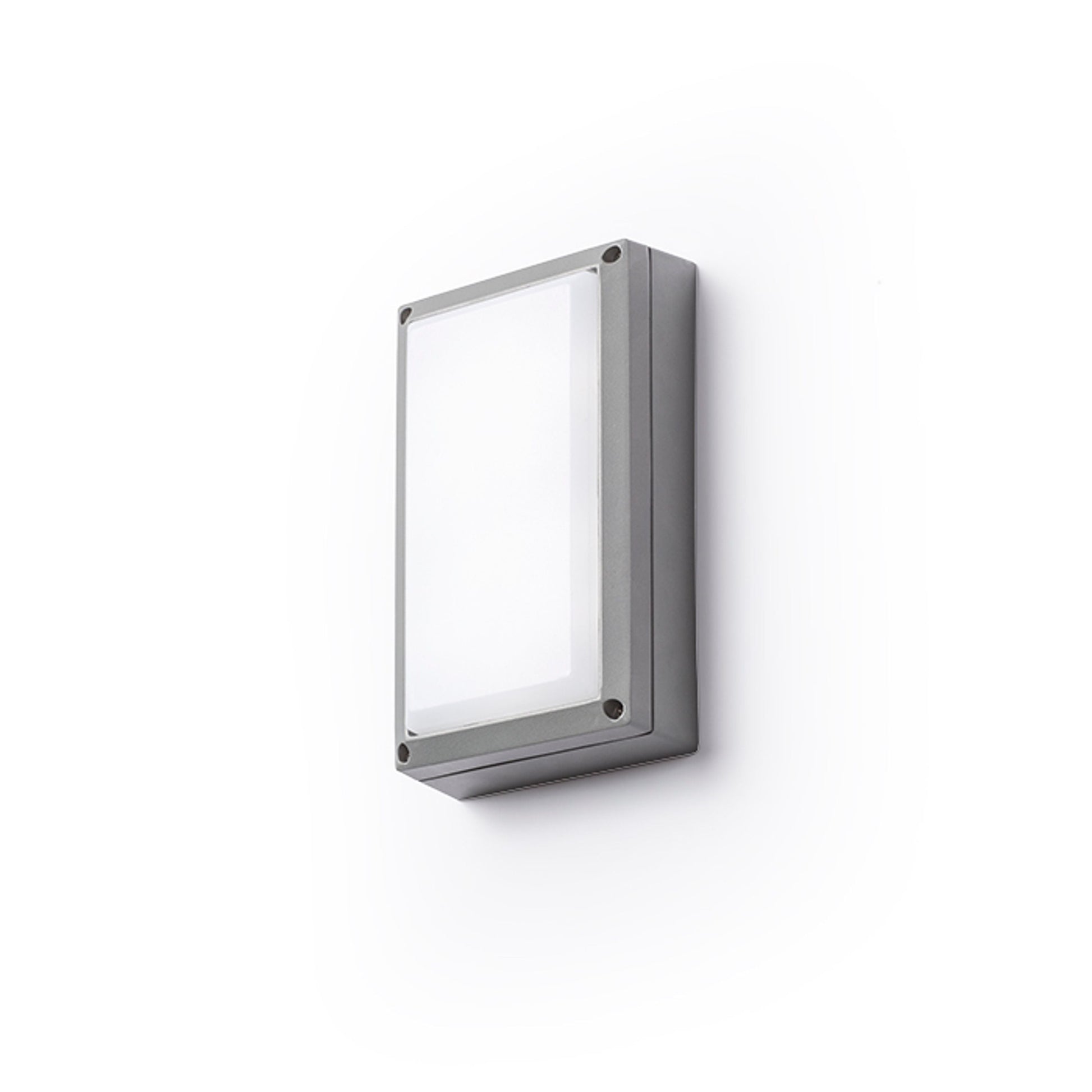 ASPEN buiten wand-/plafondlamp zilvergrijs LED 5W
