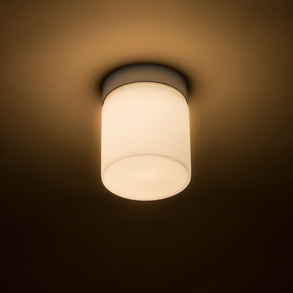 ESICA CYL | plafondlamp badkamer | LED 6W 3000K | opaalglas met chroom | IP44