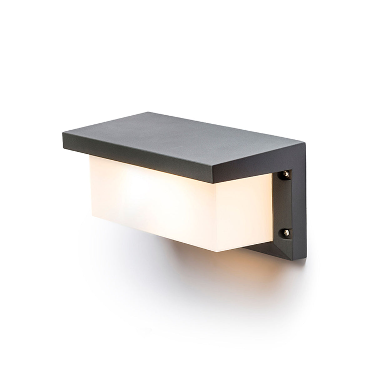 HIDE RC | buiten wandlamp | E27 | IP54 | antraciet | met of zonder lichtbron