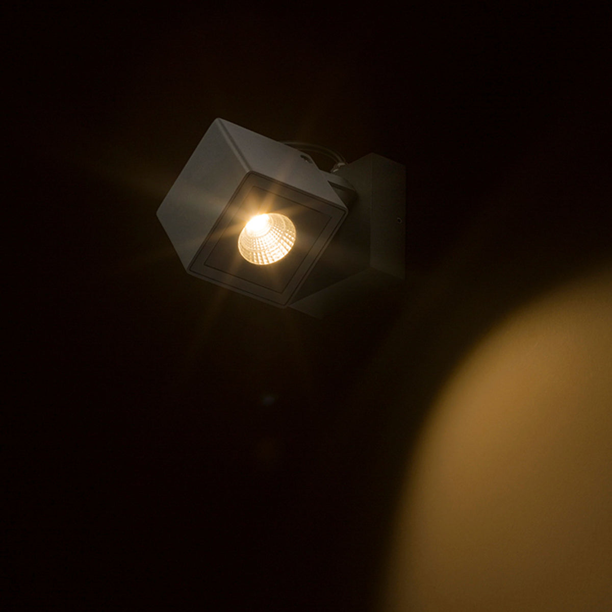BORA | verstelbare buiten wandspot | LED 6W 355lm 3000K | IP54 | antraciet
