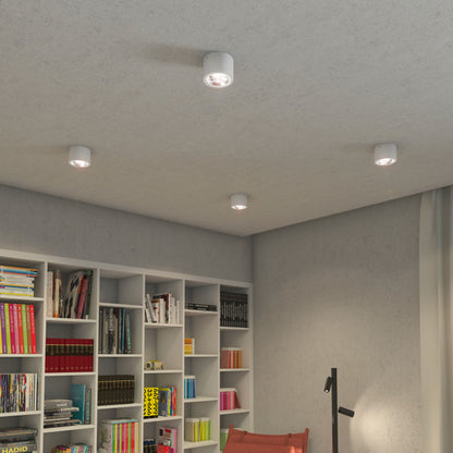 KELLY LED plafondlamp | dimbare LED spot | 15W 750lm 3000K | bundel 45 graden | 12 cm